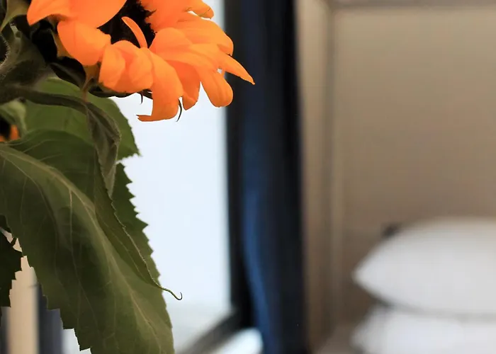 Centrum Private & Dorms Auberge de jeunesse Varsovie